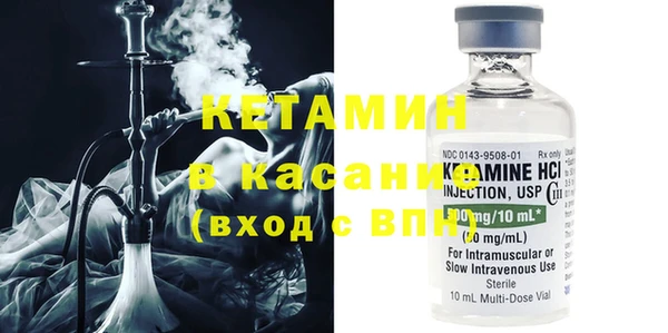 прущие грибы Богданович