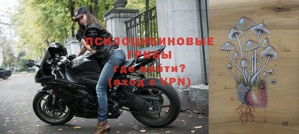 хмурый Белоозёрский