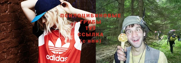 спайс Нея