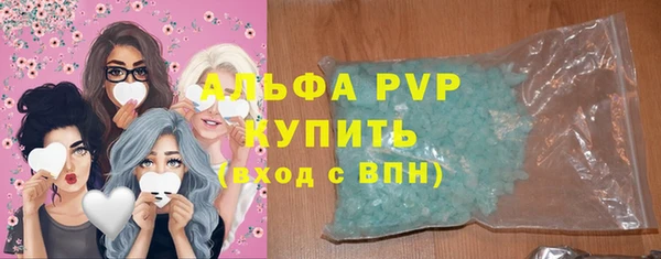 прущие грибы Богданович