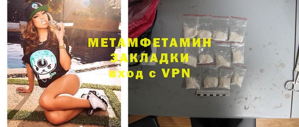 прущие грибы Богданович
