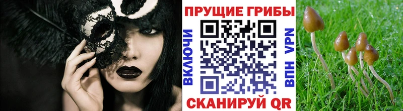 Псилоцибиновые грибы мухоморы Бор